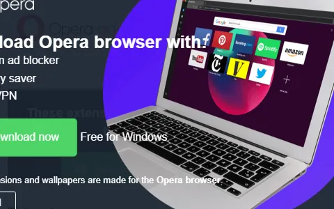 Opera Add-ons status preview image