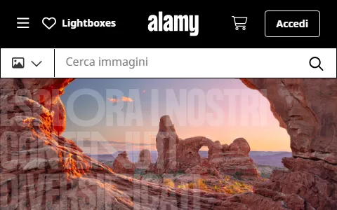 Alamy Italy status preview image