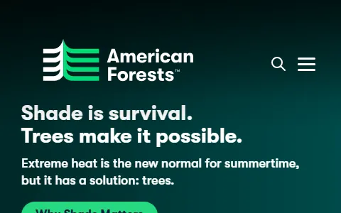 American Forests status preview image