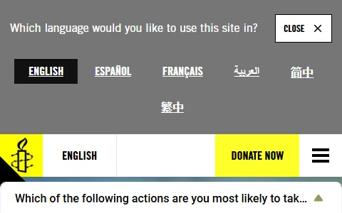Amnesty International status preview image