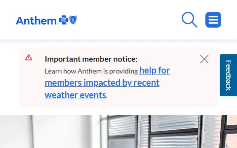 Anthem status preview image