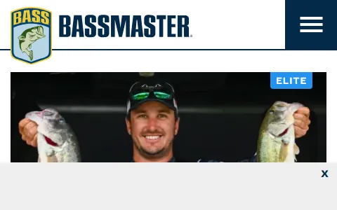 Bassmaster status preview image
