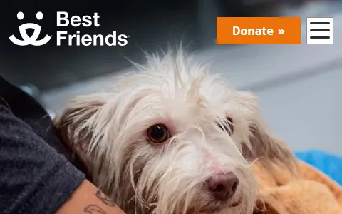 Best Friends Animal Society status preview image