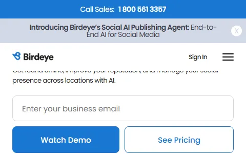 Birdeye status preview image
