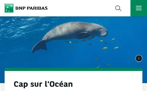 Bnpparibas status preview image