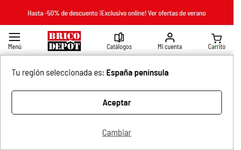 Brico Depôt España status preview image