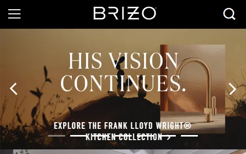Brizo status preview image