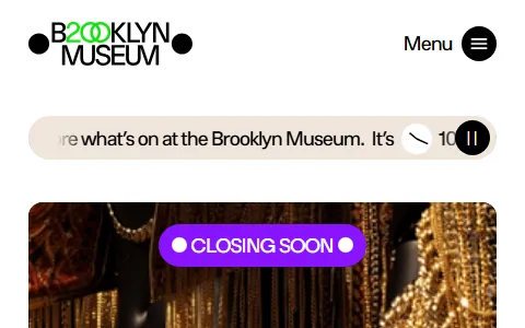 Brooklyn Museum status preview image