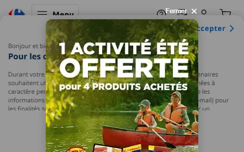 Carrefour France status preview image
