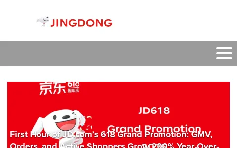 JD.com Corporate status preview image