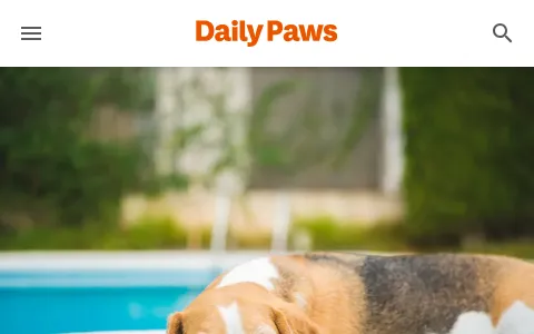 Daily Paws status preview image