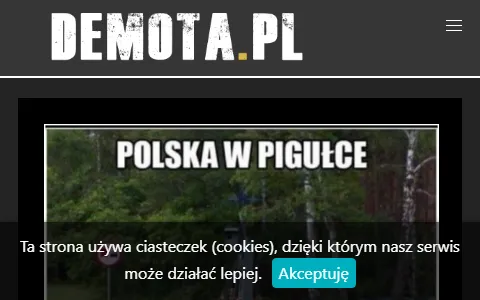 Demota.pl status preview image