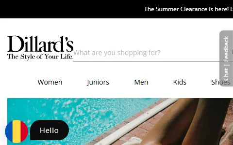 Dillards status preview image
