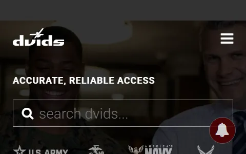 DVIDS status preview image