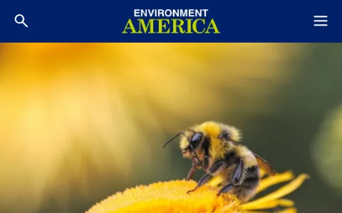 Environmentamerica status preview image