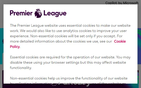 Fantasy Premier League status preview image