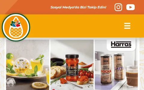 FILE Türkiye status preview image