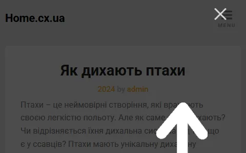 Їжа Україна status preview image
