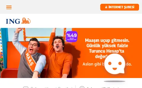 ING Turkey status preview image