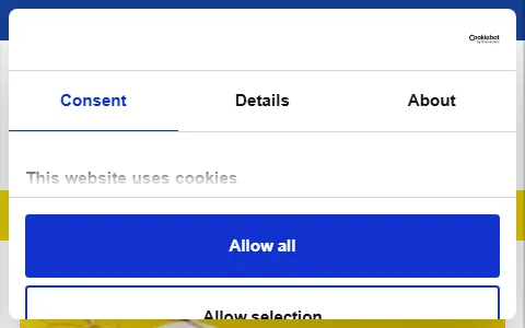 Intersport Denmark status preview image
