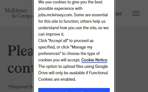 McKinsey status preview image