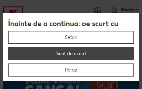 Kaufland Romania status preview image