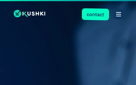 Kushki status preview image
