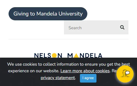 Nelson Mandela University status preview image