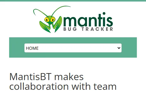 MantisBT status preview image