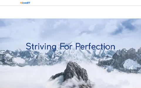 MicroBT status preview image