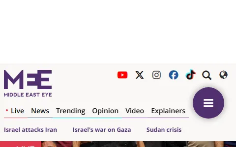 Middle East Eye status preview image