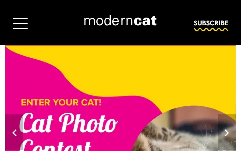 Modern Cat status preview image