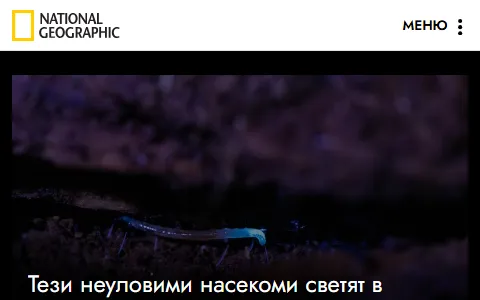 National Geographic Bulgaria status preview image