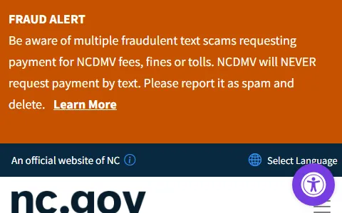 NC Government status preview image