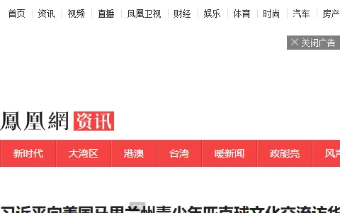 Phoenix Net status preview image