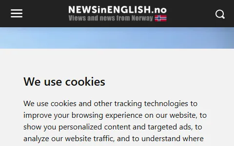 Newsinenglish.no status preview image
