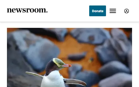 Newsroom status preview image
