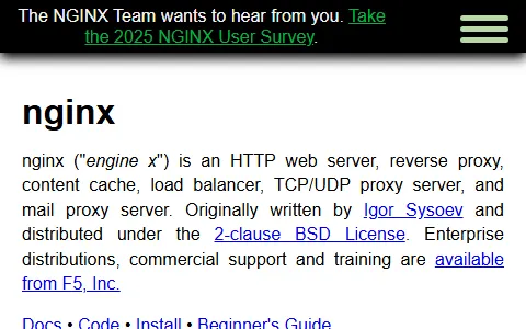 nginx status preview image