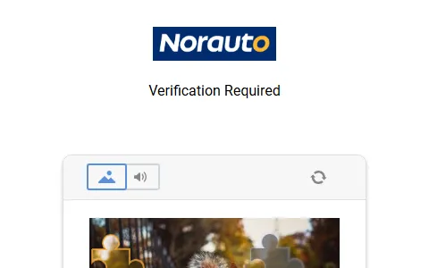 Norauto status preview image