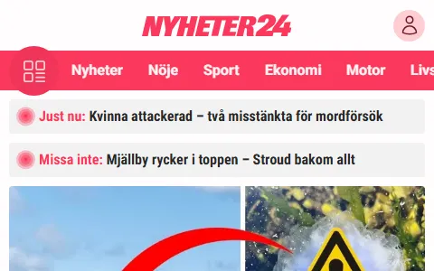 Nyheter24.se status preview image