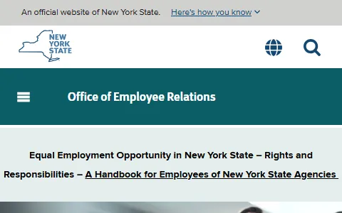 Oer.ny.gov status preview image