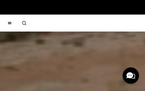 Patagonia status preview image