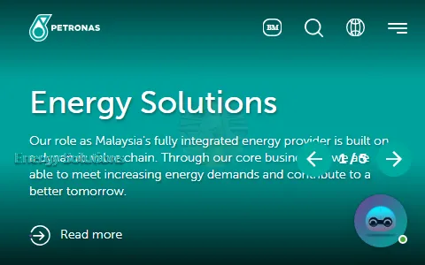 PETRONAS status preview image