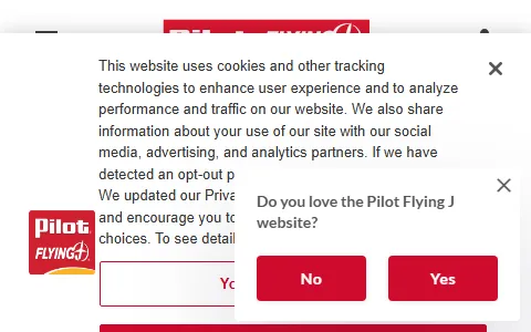 Pilot Flying J status preview image