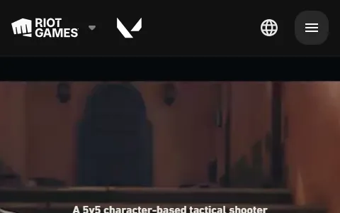 VALORANT status preview image