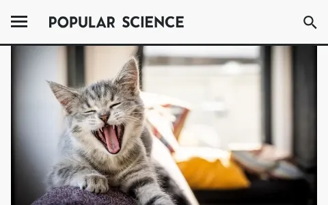 Popular Science status preview image