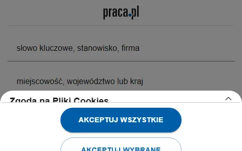 Praca status preview image