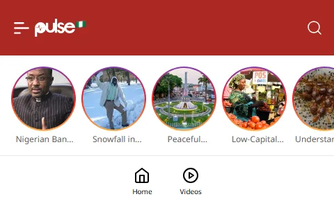 Pulse Nigeria status preview image