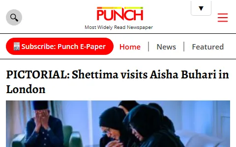 Punch status preview image
