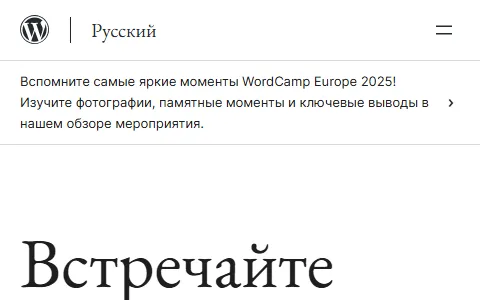WordPress.org Russian status preview image